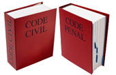 Voies et moyens de la justice civile et pénale